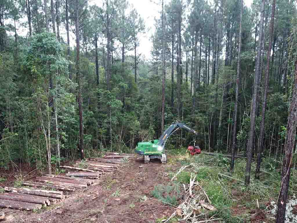 Excavator in a