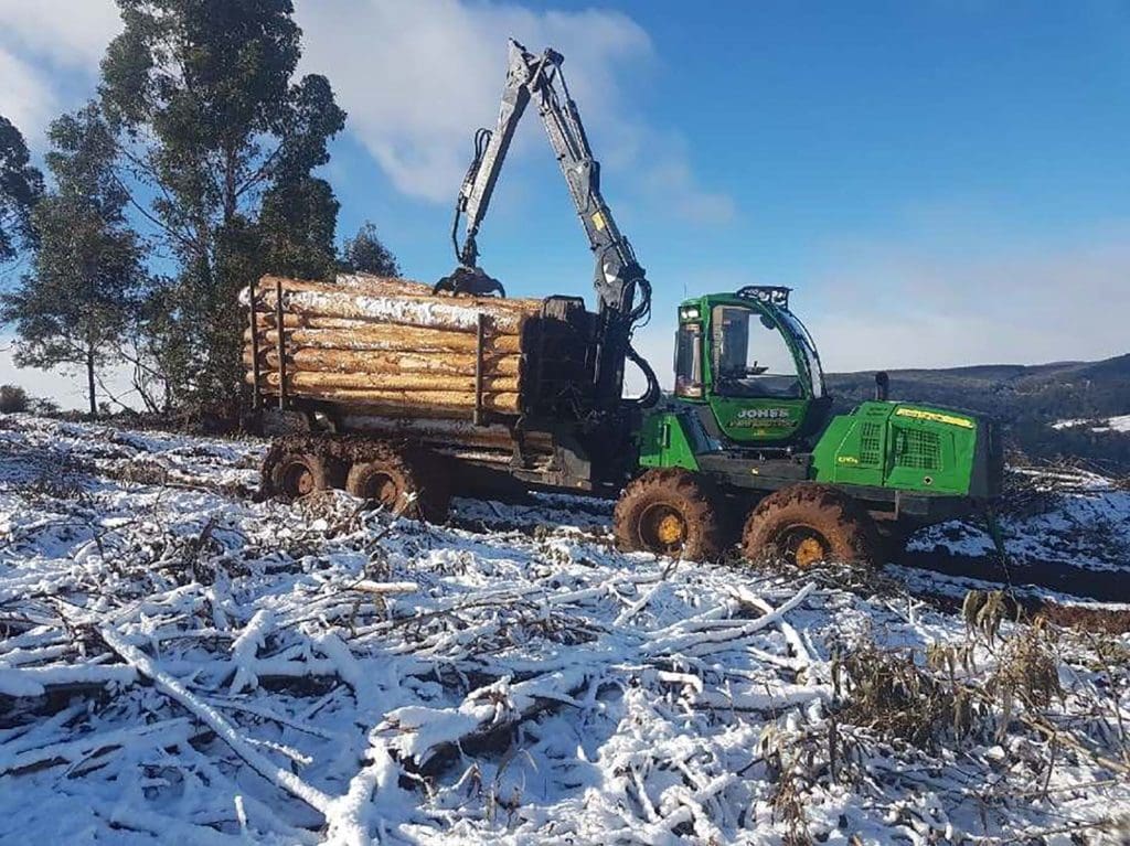 Forest harvesting in Tasmania