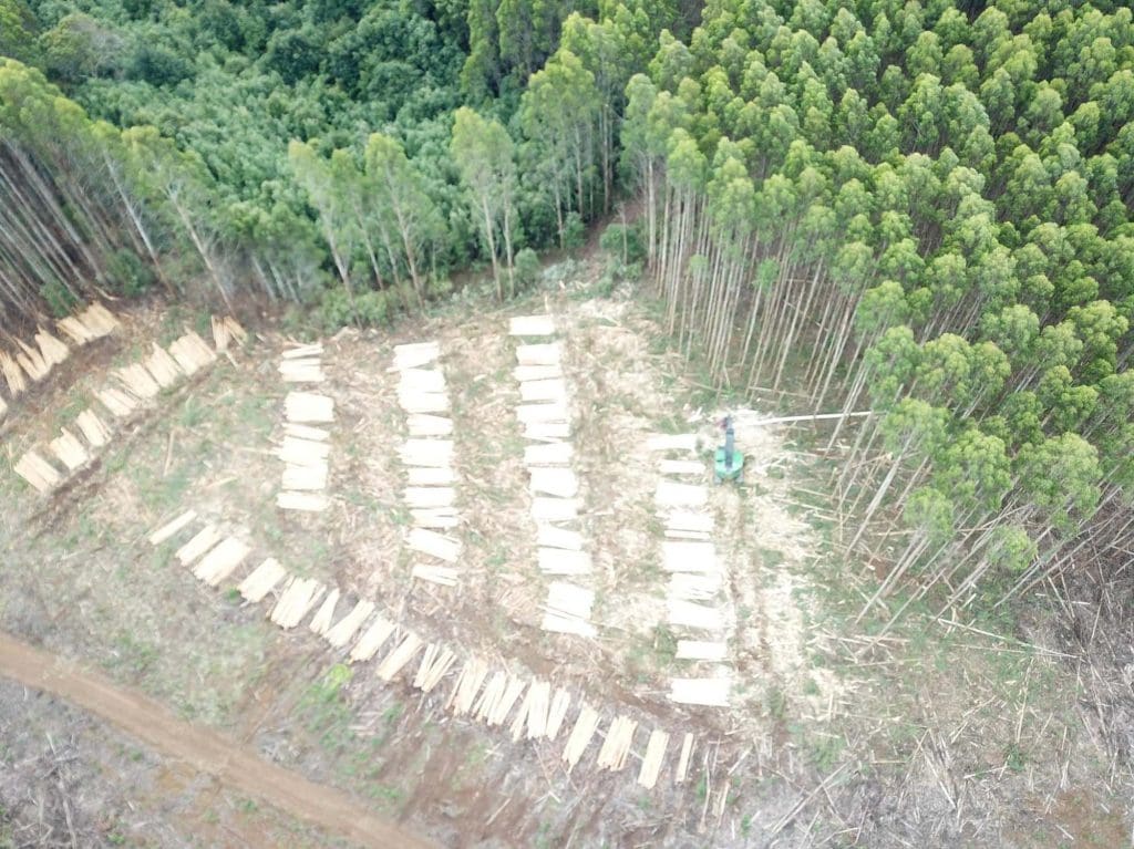 Plantation harvesting